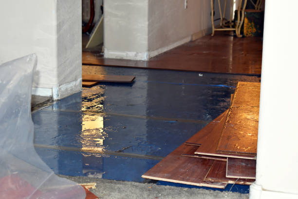 Professional Sewage Cleanup technician working in Caledonia, IL